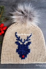 The Purple Poncho - Carolyn Calderon - Reindeer Beanie - Free