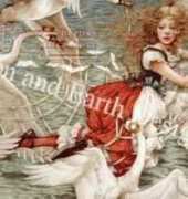 HAEYG036 Princess and Swans