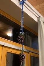 New Year decorations