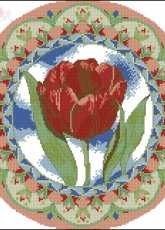 Tulip From Kanavice 28 - 2012