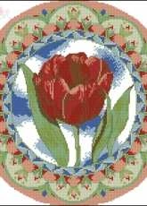 Tulip From Kanavice 28 - 2012