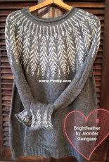 Brightfeather by Jennifer Steingass