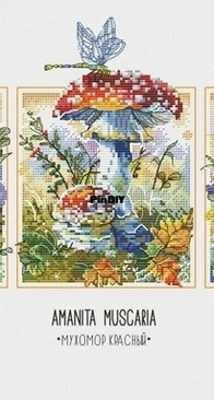 Smart Cross Stitch - Fly agarics - Amanita muscaria, Amanita Franchetti and Saproamanita Vittadini by Polina Andrievskaya