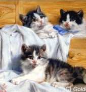 Golden Kite  2140 The Playful Kittens