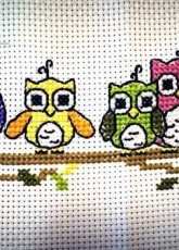 Owls