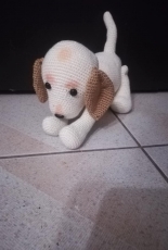 another doggie