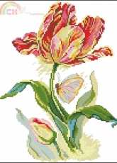 Alisa 2-14 tulip and butterfly pcs