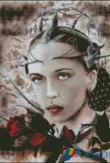 HAED HAKC 005 Antares by Krystal Camprubi