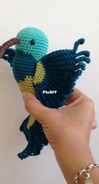 Bricole the humming bird
