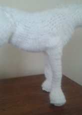 horse