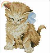 OOE 44101 Cat