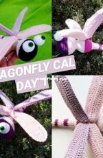 Flogurumi - Florent Sibil - Dragonfly - Free
