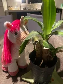 Little unicorn