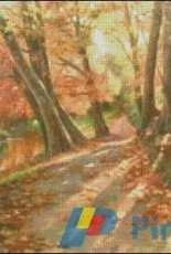 Intricate Cross Stitch - Dappled Sunlight - free