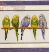 Vervaco 70.895 - Parakeets on branch