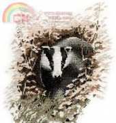 Heritage JSBR296 - Badger