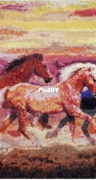 Free running horses