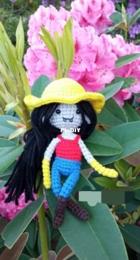 Crochê with Cat - Erika Palmeira - Marceline The Vampire Queen