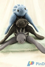 Arañas y Marañas - Rosaura Valdez - Paz A Leatherback turtle - Spanish