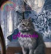 Arxinda - Gatito Gris