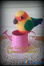Janine Tsakisiris - Sun Conure Parrot