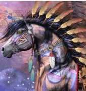 HAED HAELAP 126 Shaman by Laurie Prindle