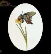 Thea Gouverneur 1020 - Brown-Green Butterfly