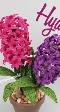 Pippa Patterns - Connie Rockliff - Hyacinth