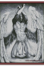 Chimera - Angel