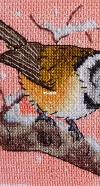 crested_titmouse
