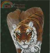HAED HAE SAS 125 Tiger Mates by Sandra Santara XSD