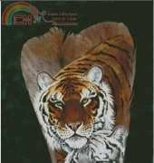 HAED HAE SAS 125 Tiger Mates by Sandra Santara XSD