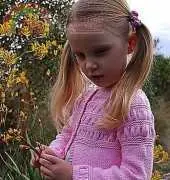 Olearia - Georgie Nicolson