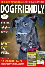 Dog Friendly  No. 45 - January-February 2018