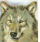 KK JW-002_Sentinel Wolf