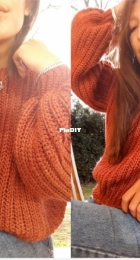 Colores Santos Crochet - Gisela Elizabeth Cejas - Sweater Medium - Spanish