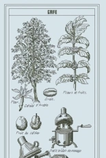 Thea Gouverneur 3028 - Coffee Makings