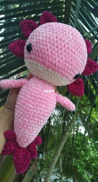 Axolotl