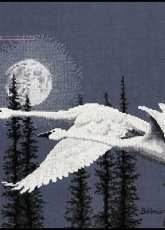 The Stitching Studio - Night Moves (Trumpeter Swans) XSD