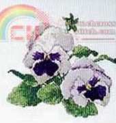 The Silver Lining Pastel Pansies
