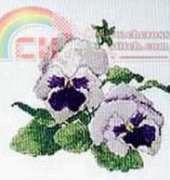 The Silver Lining Pastel Pansies