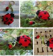 A little ladybug