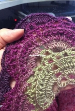 lady Shawl