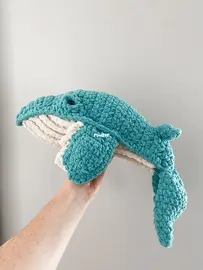 Baby humpback whale