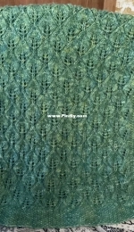 Leafy Lace Blanket 2 by Alice Kalush-Free