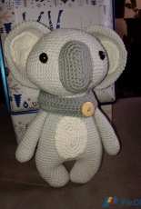 Pepe the koala