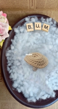 BumHandmade - Oyster Mushroom