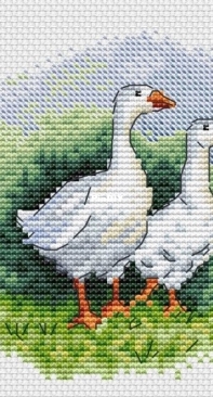 Two Goose by Lena Averina / Pavlova