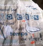 quand les mouettes ont pied...