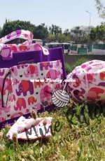 Organizer Bag
